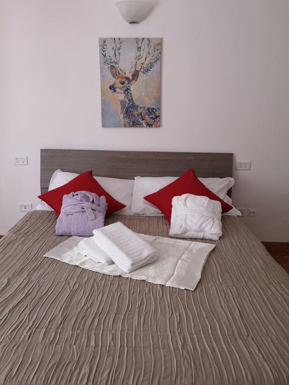 阿西西Agriturismo Il Noceto别墅 外观 照片