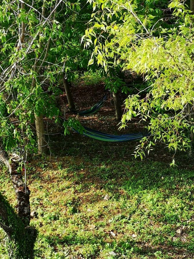 阿西西Agriturismo Il Noceto别墅 外观 照片