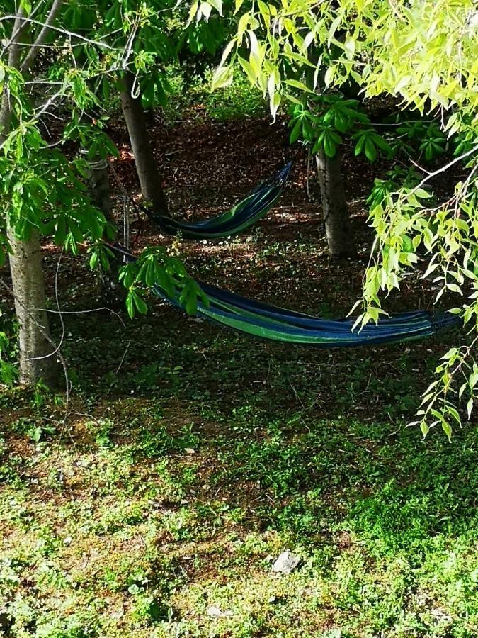 阿西西Agriturismo Il Noceto别墅 外观 照片