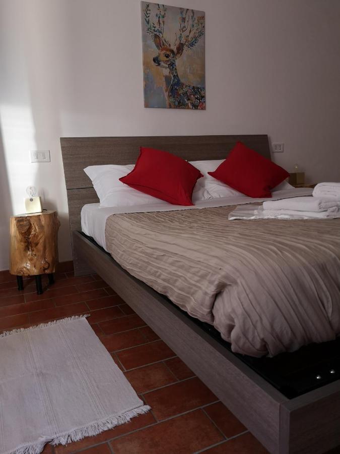 阿西西Agriturismo Il Noceto别墅 外观 照片