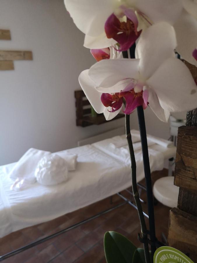 阿西西Agriturismo Il Noceto别墅 外观 照片